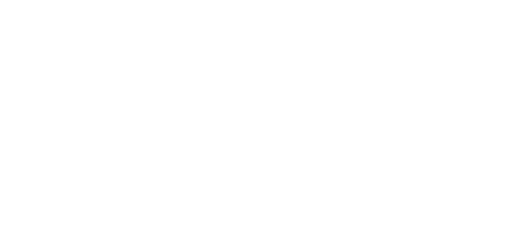 TRAVE Consulting